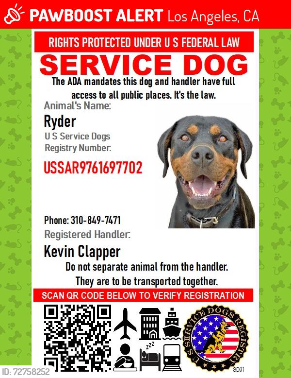 Lost Female Dog last seen Venice beach near rose on the beach , Los Angeles, CA 90291