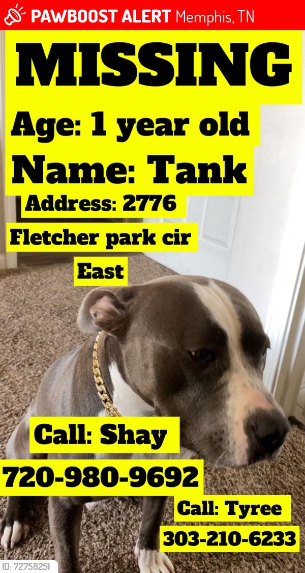 Lost Male Dog last seen Highway 64th, Memphis, TN 38016