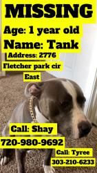 Lost Male Dog last seen Highway 64th, Memphis, TN 38016