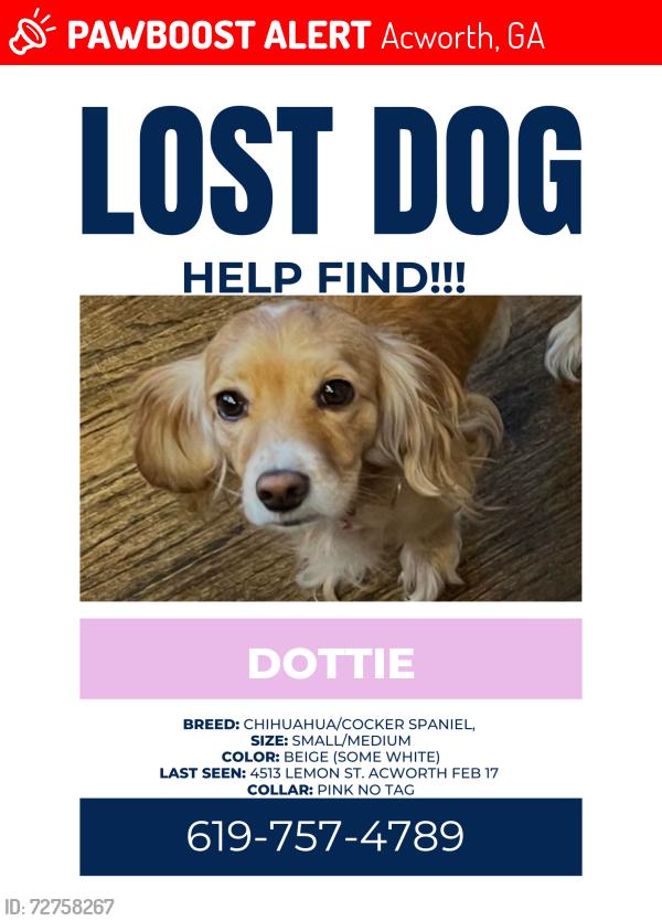 Lost Female Dog last seen Center st & lemon street , Acworth, GA 30101