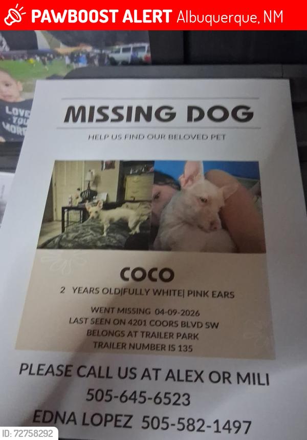 Lost Female Dog last seen Near coors Blvd sw , Albuquerque, NM 87121