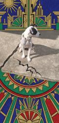 Found/Stray Female Dog last seen Independence and valley forge, San Antonio, TX 78233