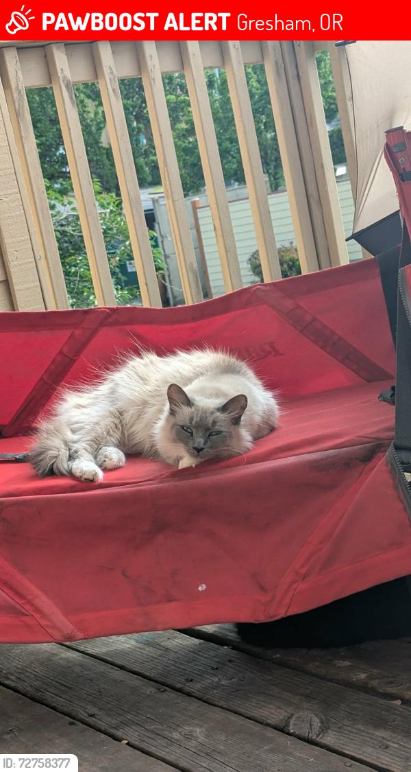 Lost Female Cat last seen SW 14th Dr and SW Pleasant View  Dr, Gresham, OR 97080