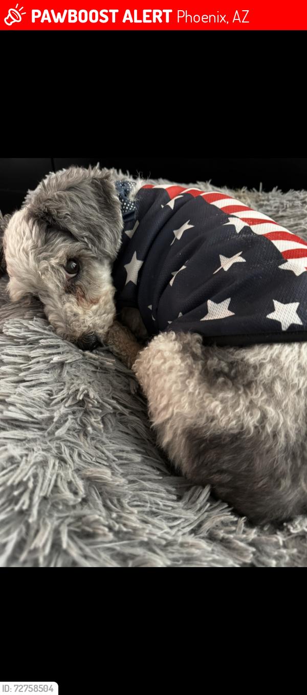 Lost Male Dog last seen Near E Fraktur rd. Phoenix Arizona , Phoenix, AZ 85040