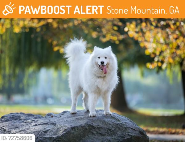 Found/Stray Unknown Dog last seen THIS IS NOT THE DOG BUT LOOKS EXACTLY LIKE IT, did not take a picture , Stone Mountain, GA 30083