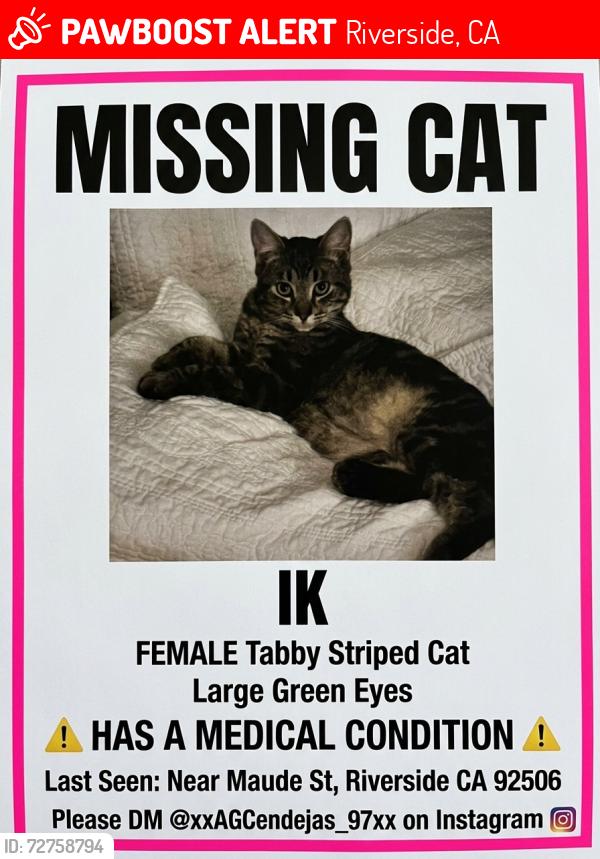 Lost Female Cat last seen Maude st and Marguerita ave Riverside, CA 92506, Riverside, CA 92506