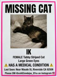 Lost Female Cat last seen Maude st and Marguerita ave Riverside, CA 92506, Riverside, CA 92506
