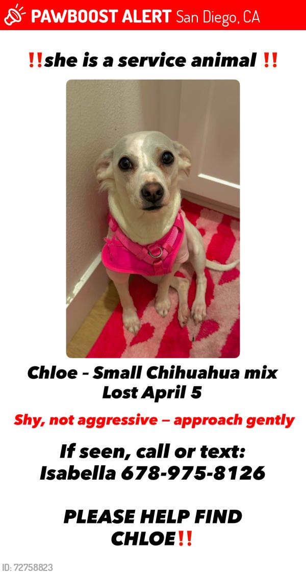 Lost Female Dog last seen Kaiser hosp, San Diego, CA 92154