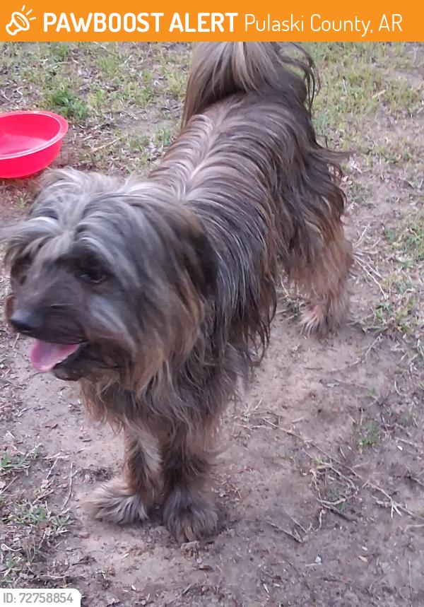 Found/Stray Unknown Dog last seen Ironton, Pulaski County, AR 72206