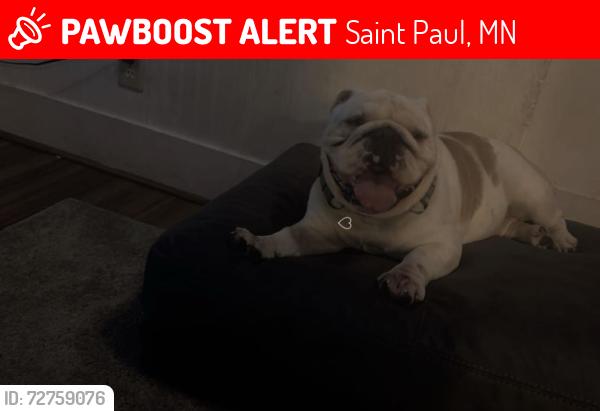 Lost Male Dog last seen Near case ave , Saint Paul, MN 55106