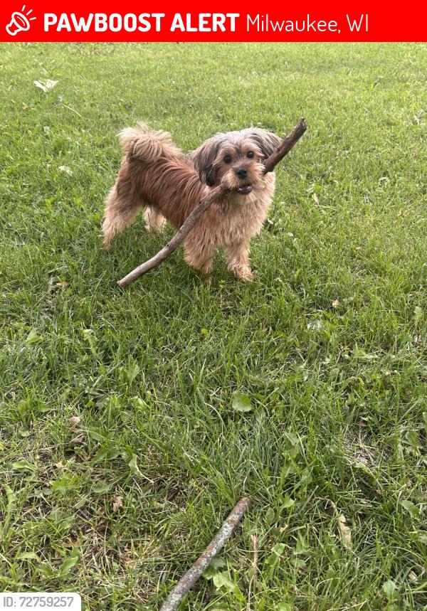 Lost Male Dog last seen Stark hampton, Milwaukee, WI 53209