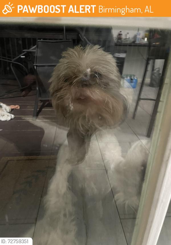 Found/Stray Unknown Dog last seen Marlin springs / Carson road , Birmingham, AL 35215
