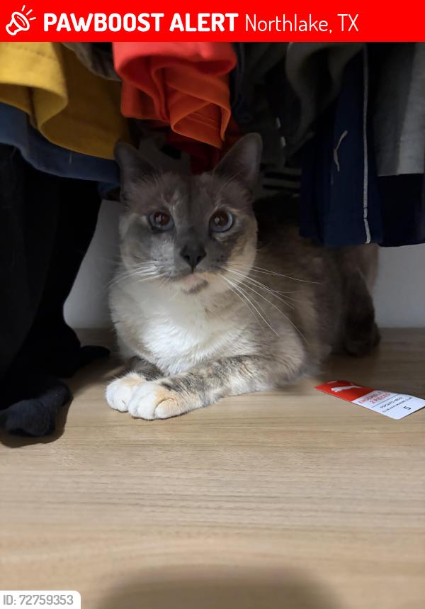Lost Female Cat last seen FM 407 and Cleveland Gibbs, Northlake, TX 76247