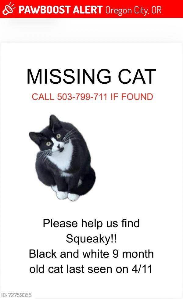 Lost Male Cat last seen S Forsythe Rd and Portland View Dr , Oregon City, OR 97045