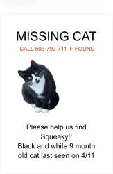 Lost Male Cat last seen S Forsythe Rd and Portland View Dr , Oregon City, OR 97045