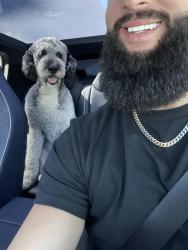 Lost Male Dog last seen Wedgewood Ave and Southgate Ave , Nashville, TN 37203
