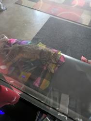 Found/Stray Male Cat last seen Balcones heights, San Antonio, TX 78201