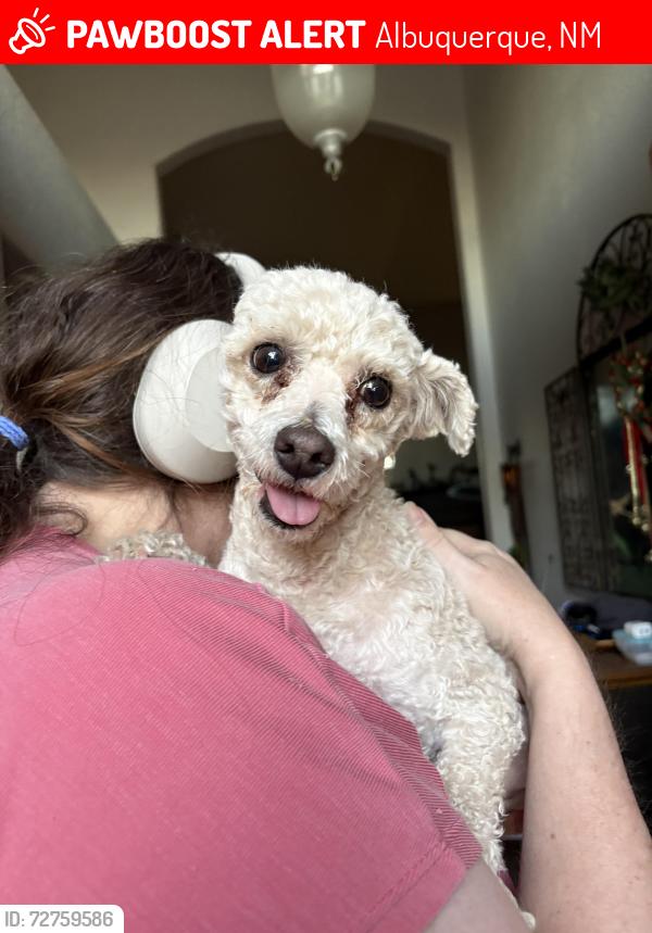 Lost Male Dog last seen Ouray/ Brackley, Albuquerque, NM 87120
