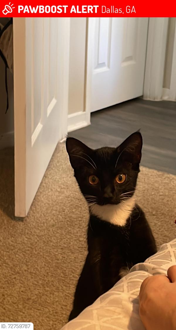 Lost Female Cat last seen Water tank , Dallas, GA 30132