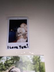 Lost Male Dog last seen I don’t remember , Goldsboro, NC 27530