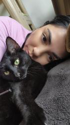 Lost Female Cat last seen Jacobs way   neighborhood, Cantonment, FL 32533