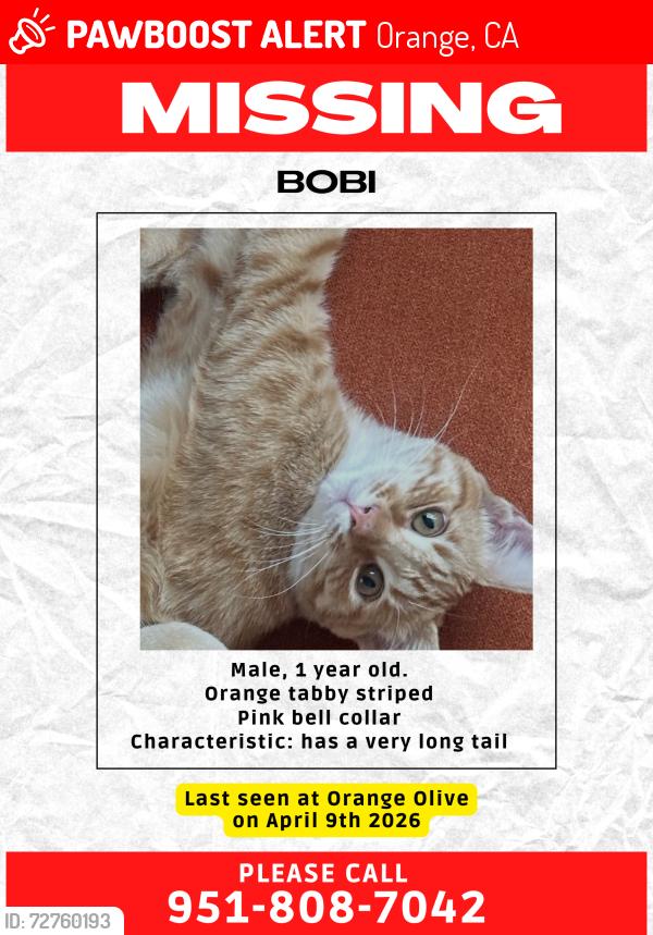 Lost Male Cat last seen Meats road and north orange olive , Orange, CA 92865