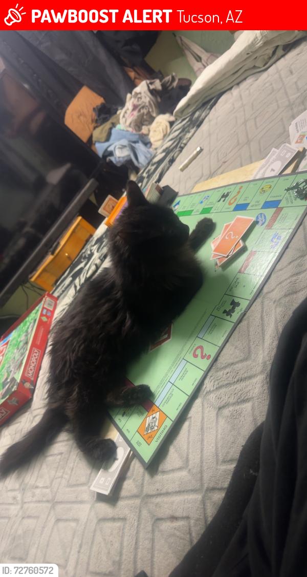 Lost Male Cat last seen Fred and Illinois , Tucson, AZ 85735