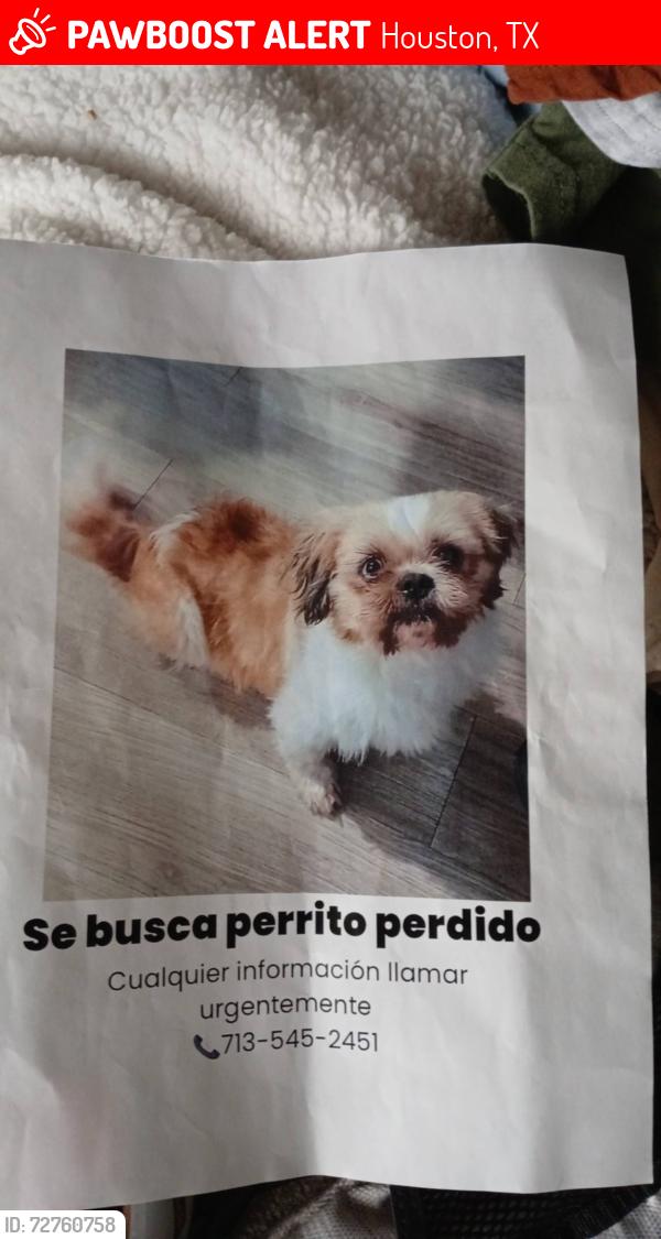 Lost Male Dog last seen Near tomball pkwy , Houston, TX 77086