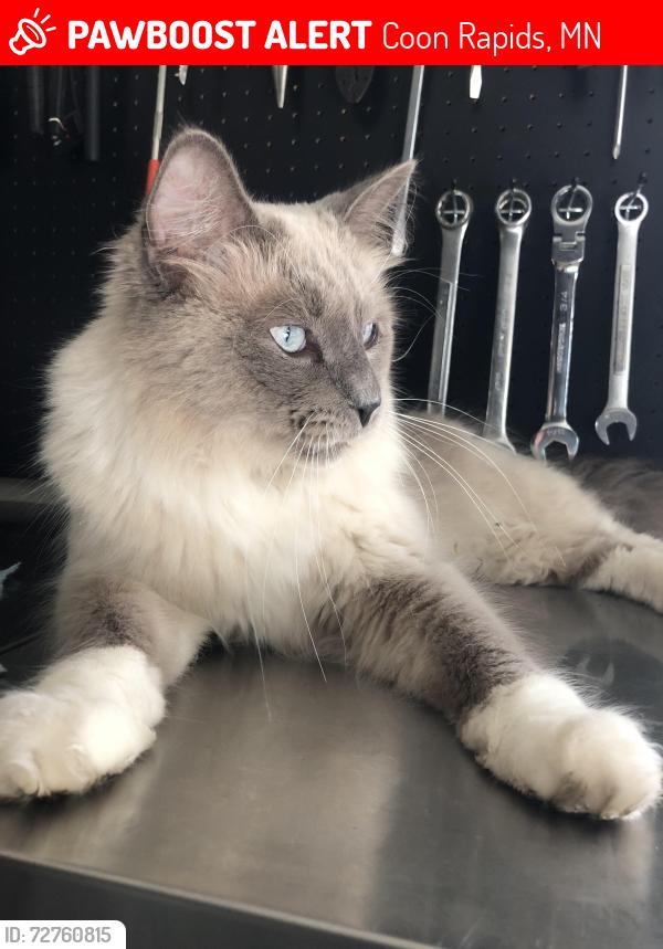 Lost Male Cat last seen 108TH Ave NW and Kumquat , Coon Rapids, MN 55433