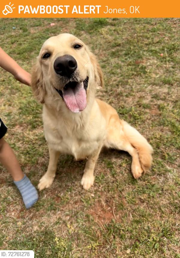 Found/Stray Female Dog last seen Hiwasse Rd & 150th, Jones, OK 73049