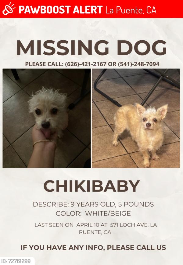 Lost Female Dog last seen Near lochmere ave, La Puente, CA 91744