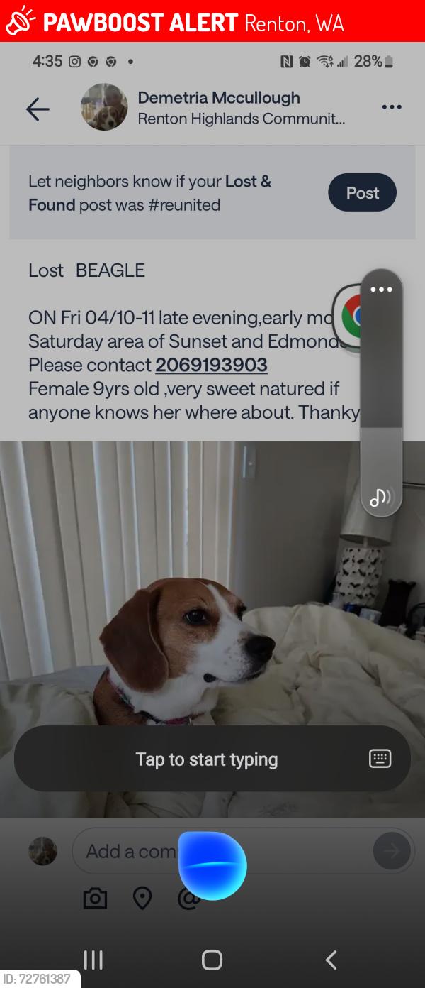 Lost Female Dog last seen Sunset Blvd Ne, Renton, WA 98056