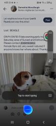 Lost Female Dog last seen Sunset Blvd Ne, Renton, WA 98056