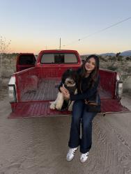 Lost Male Dog last seen E Avenue R-4, Littlerock, CA 93543