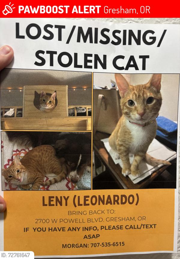 Lost Male Cat last seen NW Birdsdale, SW Highland/SE 182nd, Springwater Corridor , Gresham, OR 97030