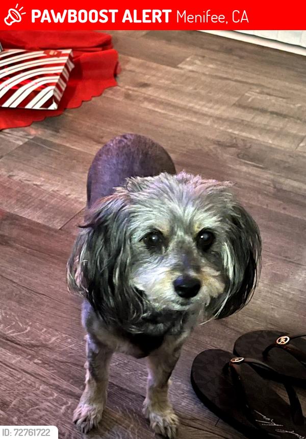 Lost Female Dog last seen  Bradley,menifee, Menifee, CA 92586
