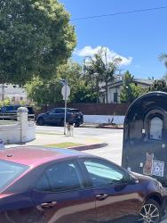 Found/Stray Unknown Dog last seen 256th st and President, Los Angeles, CA 90710