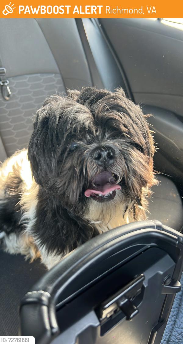 Found/Stray Male Dog last seen richmond animal care & control, Richmond, VA 23222