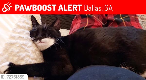 Lost Female Cat last seen Adair trail , Dallas, GA 30157