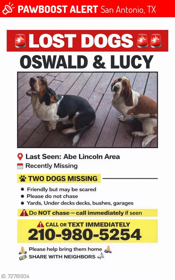 Lost Female Dog last seen Abe Lincoln And Prue, San Antonio, TX 78240