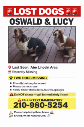 Lost Female Dog last seen Abe Lincoln And Prue, San Antonio, TX 78240