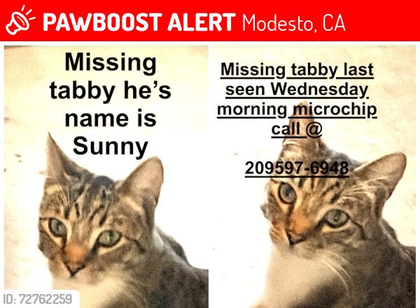 Lost Male Cat last seen Rotten Ave, Modesto, CA 95356