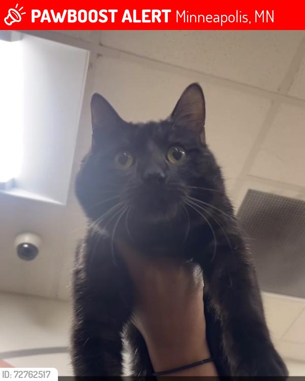 Lost Male Cat last seen Uptown buildings, Minneapolis, MN 55408