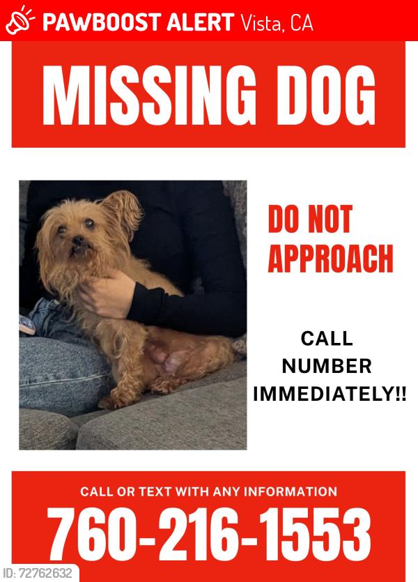 Lost Female Dog last seen E Indian Rock Rd , Vista, CA 92084