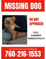 Lost Female Dog last seen E Indian Rock Rd , Vista, CA 92084
