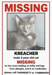 Lost Male Cat last seen Beach and McFadden , Midway City, CA 92655