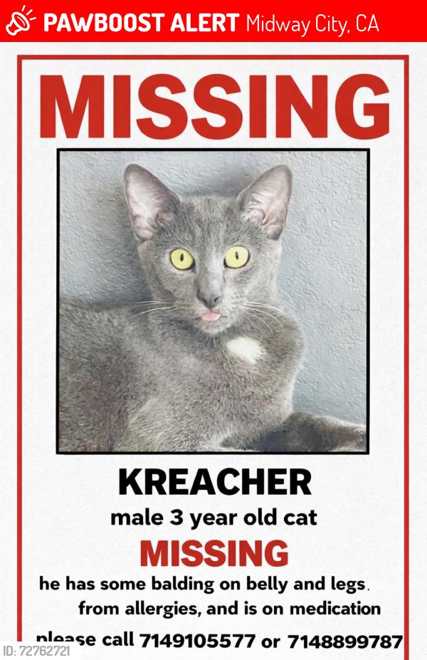 Lost Male Cat last seen Beach and McFadden , Midway City, CA 92655