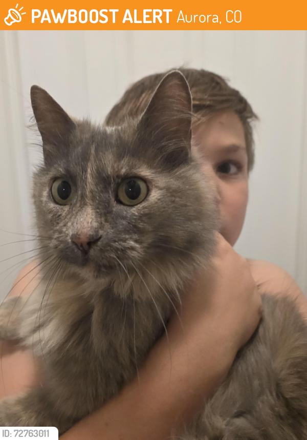 Found/Stray Unknown Cat last seen Antelope ridge elementary school , Aurora, CO 80015
