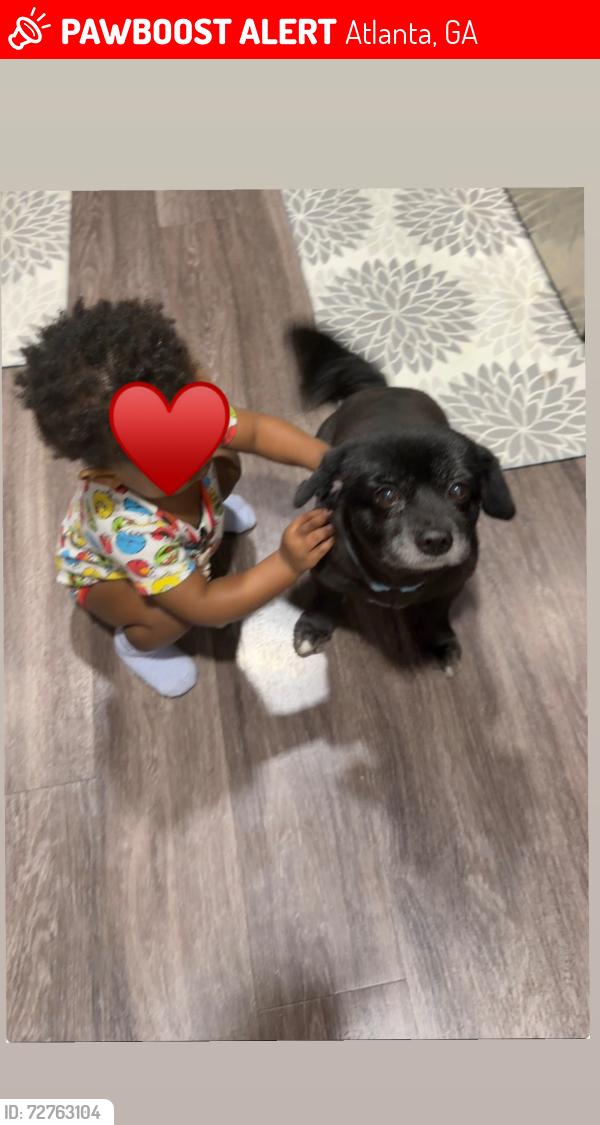 Lost Male Dog last seen Berkeley Park , Atlanta, GA 30318