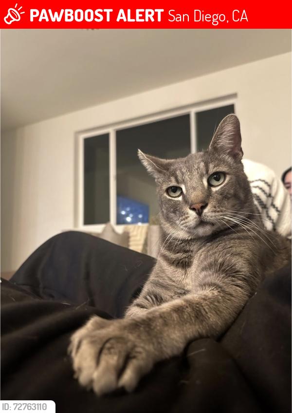 Lost Male Cat last seen Ocean view hills , San Diego, CA 92154